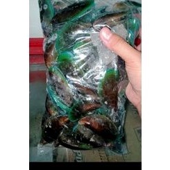 

kerang hijau