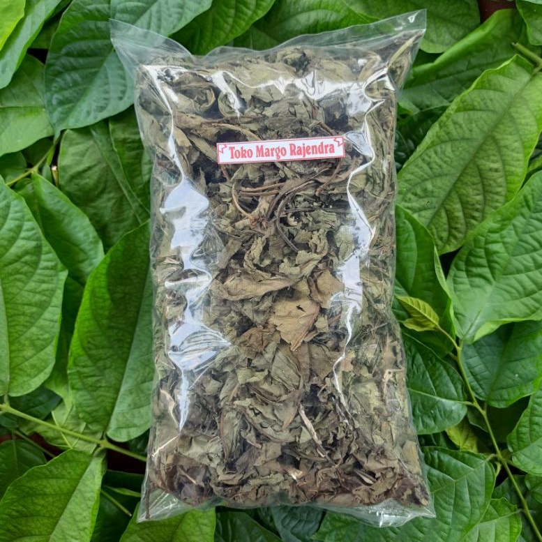 

Daun Insulin Kering isi 250 gram Murni