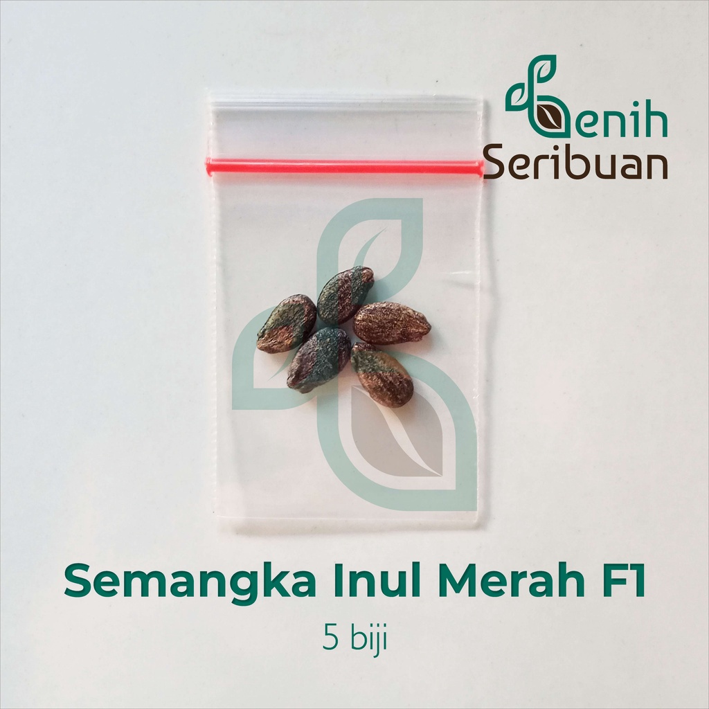 Benih Seribuan - 5 Bibit Buah Semangka Inul Merah F1 Hibrida