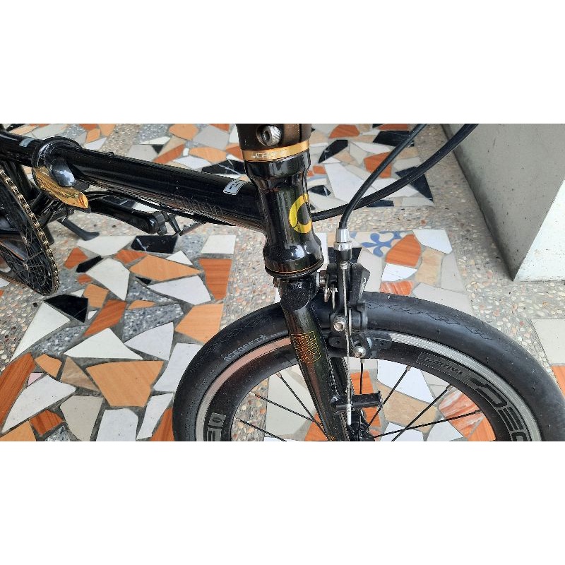 fnhon gust black gold limited