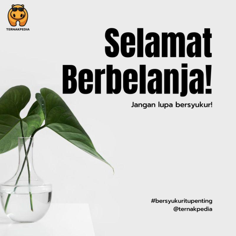 Choline Chloride 60% Kualitas Terbaik
