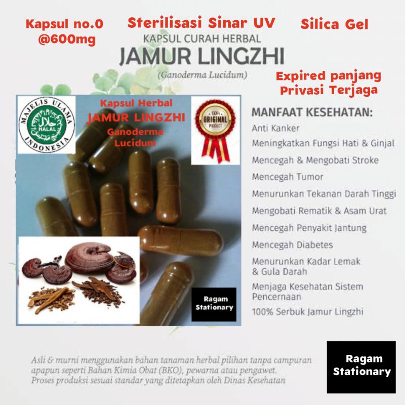 KAPSUL BUBUK JAMUR LINGZHI HERBAL JAMU OBAT CURAH 100 BUTIR