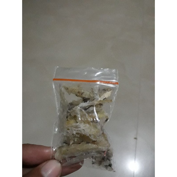 

sarang walet kotor hancuran(harga per gram)