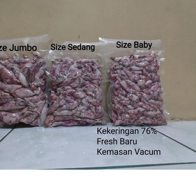 

Terbaru | FG2 | Sotong / Cumi / Cumi Asin / Cumi Rebus 500 Gram Size Jumbo|Sedang|Baby