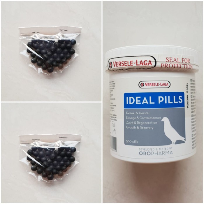 IDEAL PILLS VERSELE LAGA DOPING VITAMIN BURUNG DARA IDEAL PIL MERPATI