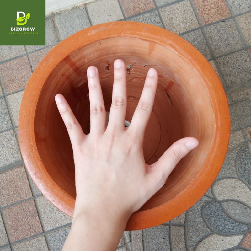 pot bunga terakota tanah model daun dimensi 20cm minimalis tebal