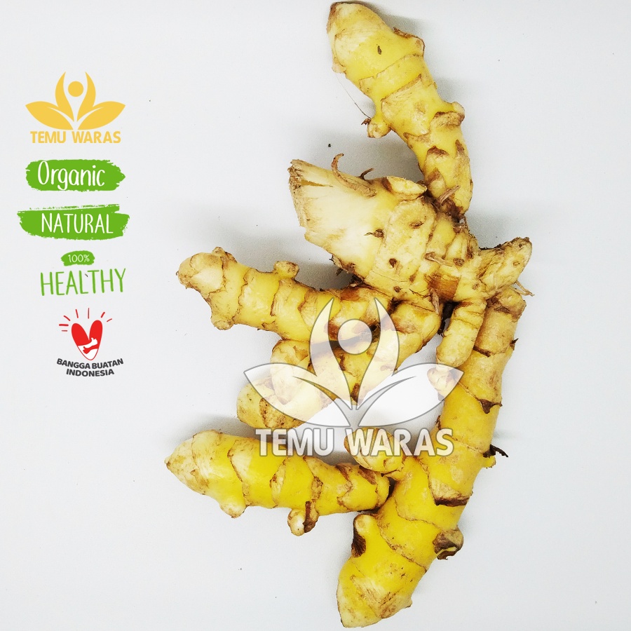 

Temu Giring Segar 500gr Organik - Asli Gunung Kidul