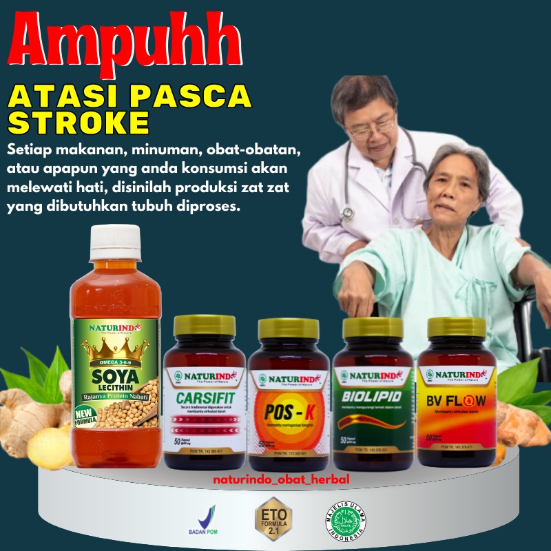 Paket Komplit Obat Pasca Stroke Herbal Ampuh Naturindo Obat Herbal Darah Tinggi Lumpuh Stroke Setrok