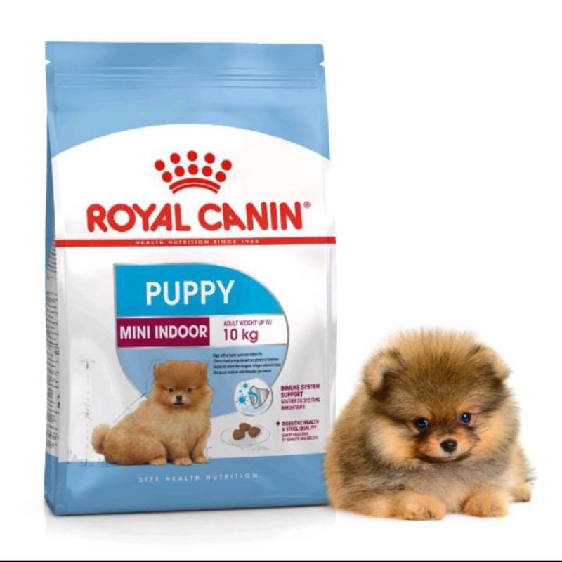 Royal Canin Mini Puppy Indoor 1,5kg