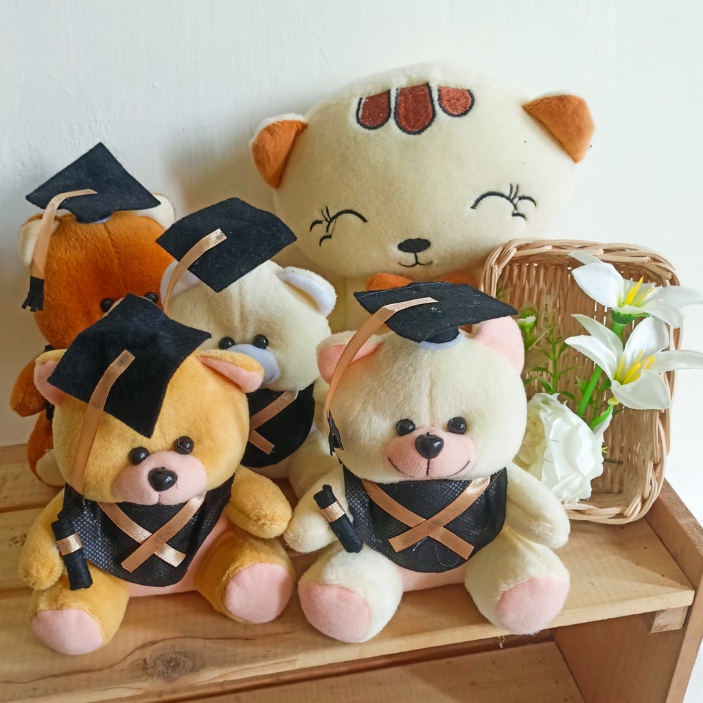 ADDITIONAL BONEKA WISUDA/ GURITA BOLAK BALIK/ DINOSAURUS / DINO / BONEKA BUKET / BONEKA HAMPERS / BONEKA MURAH / PLUSH BEAR GRADUATION DOLL / TEDDY BEAR