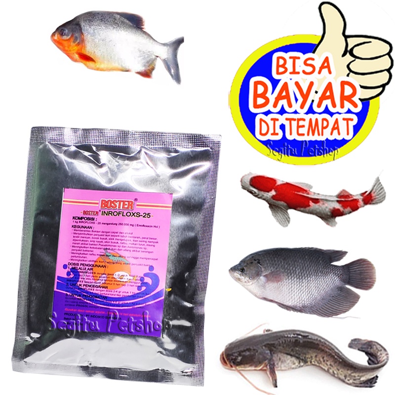 OBAT JAMUR IKAN HIAS GURAMI MAS PATIN NILA LELE PATIN KOI SERBUK INROFLOXS 25 ANTIBIOTIK BOSTER INRO