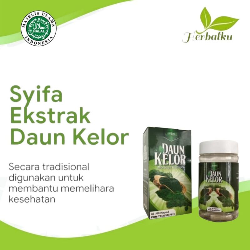 

Ekstrak Daun kelor 60 kapsul