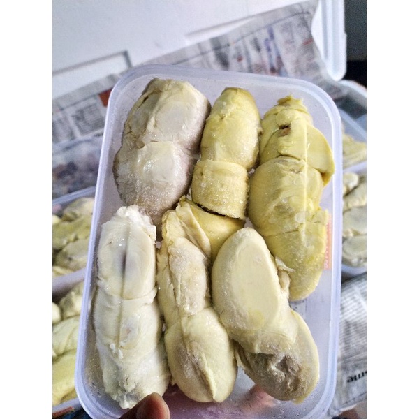 

Durian Kupas Medan Kualitas Super