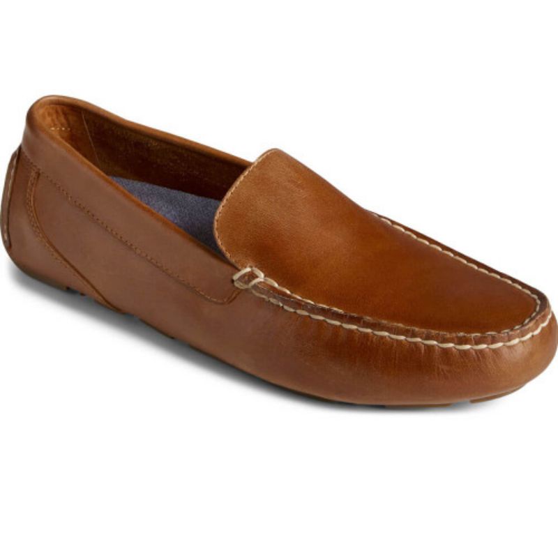 Sperry davenport venetian original
