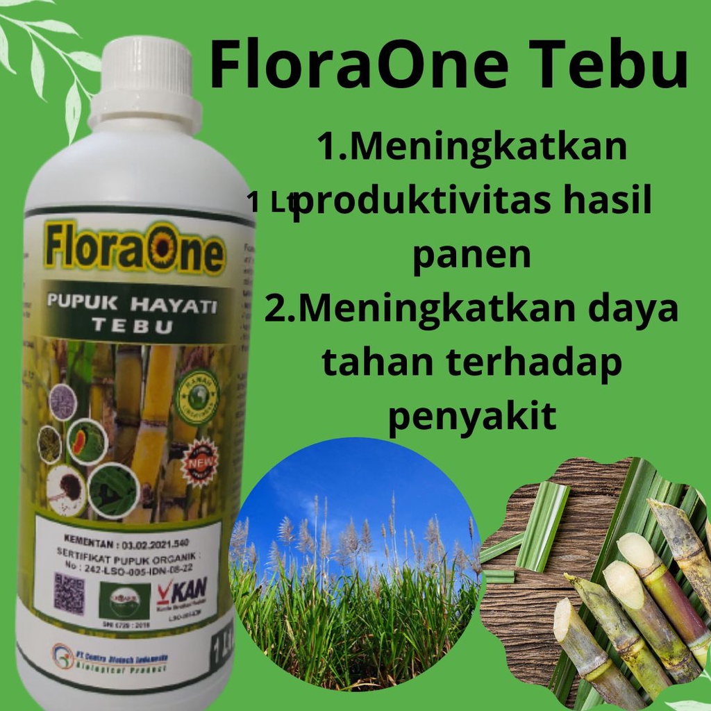 FLORAONE TEBU CAIR Pupuk Tebu, Pupuk Tebu Terbaik Obat Tebu
