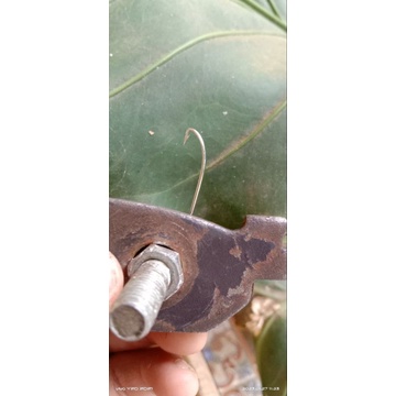 Urek belut/mata kail pancing belut