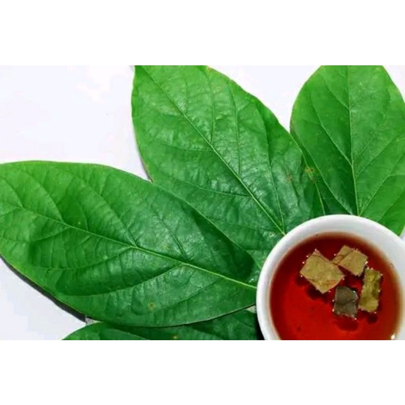 

Daun alpuket segar 500grm