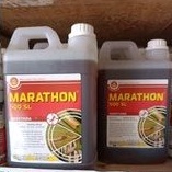 MARATHON 500SL