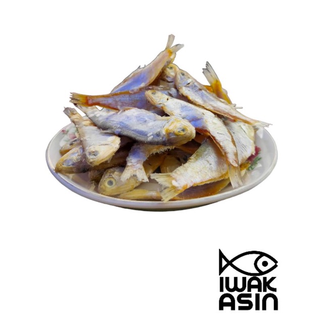 

Grosir 100 gram Ikan Asin Lempok Segar Terjangkau