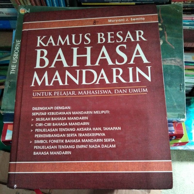kamus besar bahasa Mandarin