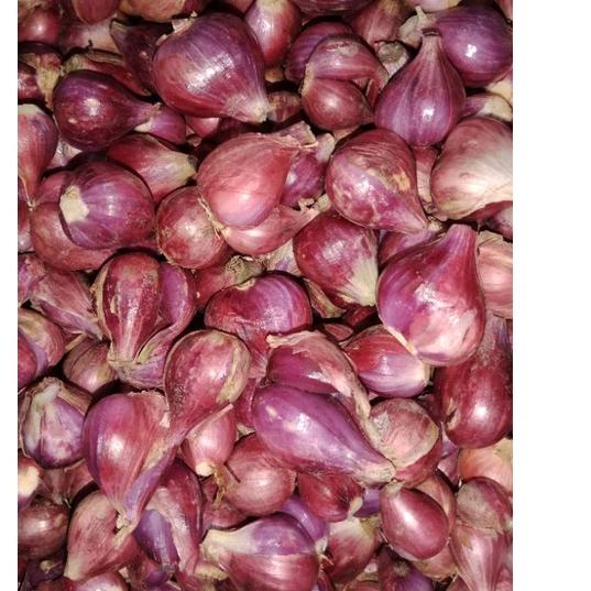 

PUJ226 BAWANG MERAH BREBES ASLI SUPER 1kg <>