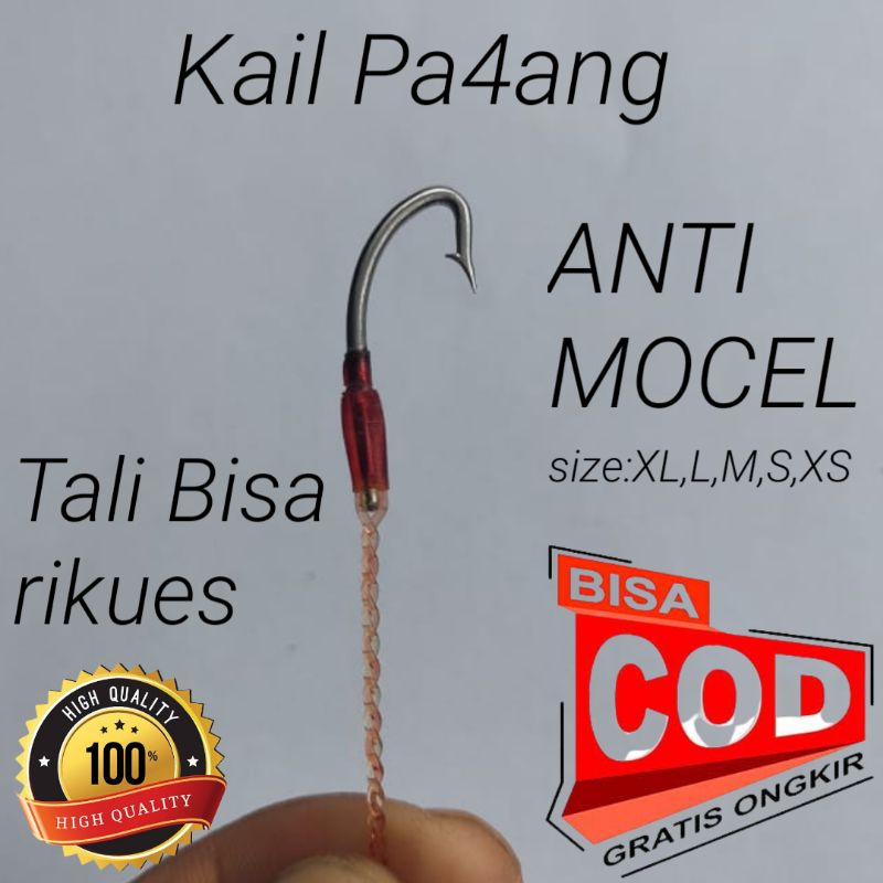 Kail pancing belut, Kail pancing, pancingan belut sawah, pancing belut, urek belut, belut sawah,mata