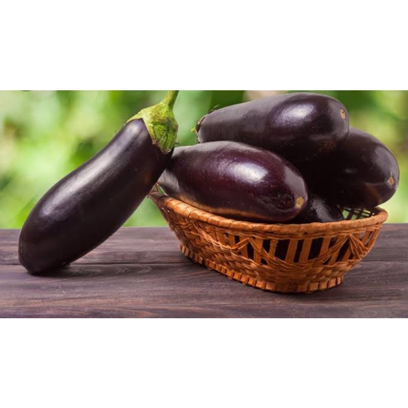 

terong ungu sayur segar kualitas super