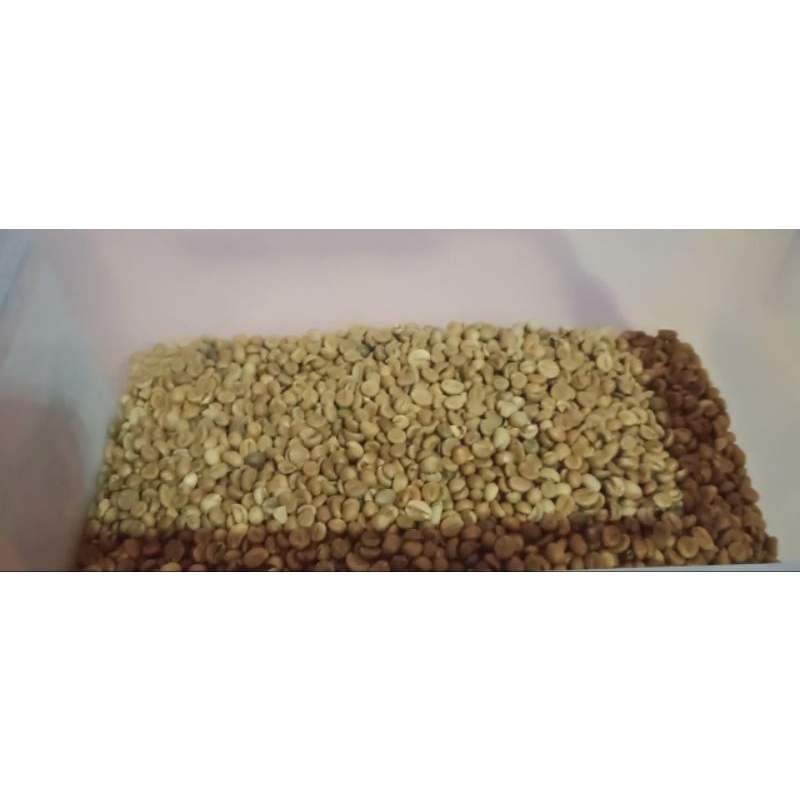 

Biji Kopi Robusta Original