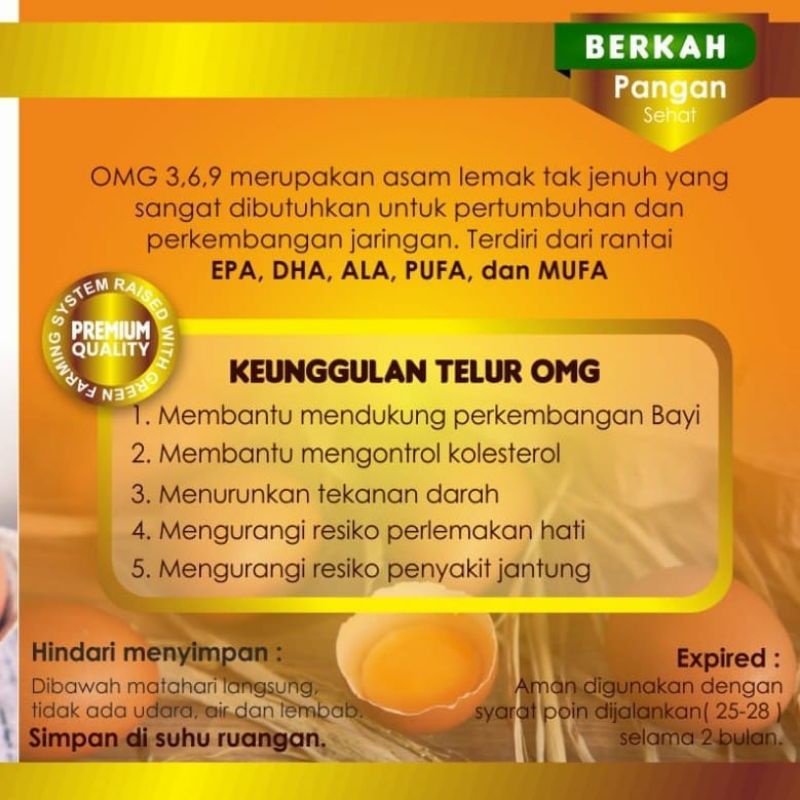 BERKAH Telur Ayam Omega 10 Butir