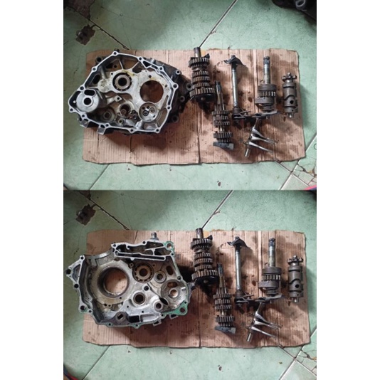 rasio tiger transmisi tiger