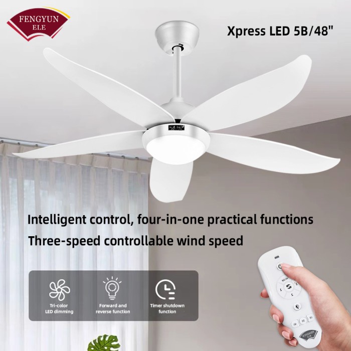 Fengyun Ceiling Fan With Light Remote Control Ceiling Fan Timer (5)