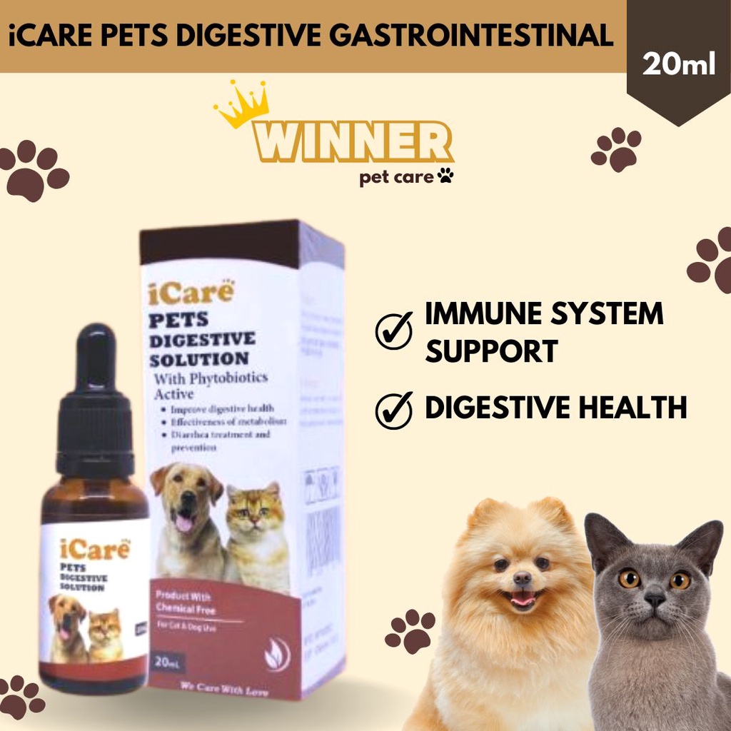 ICARE Pets Digestive Gastrointestinal Solution Cat Dog 20ml