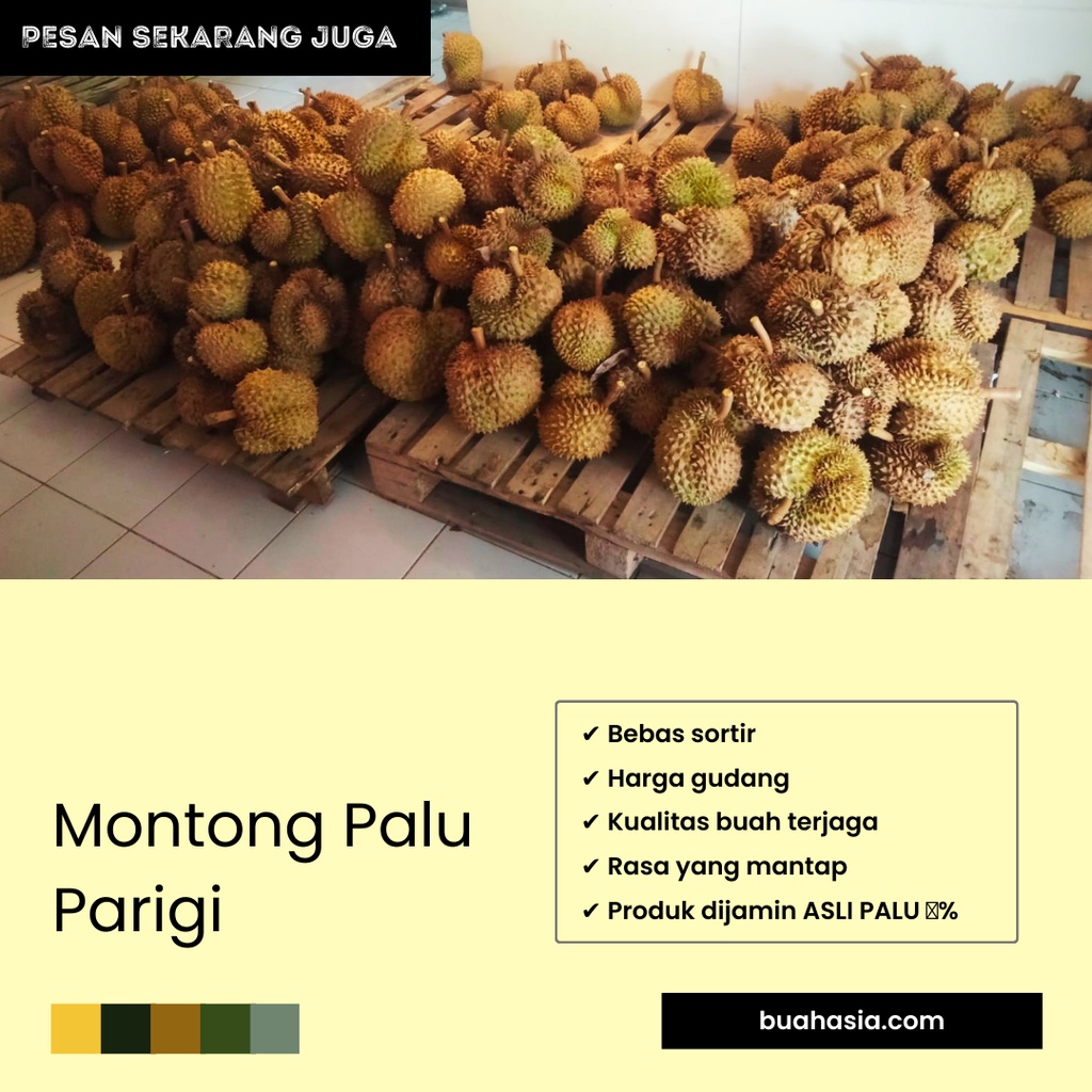 Durian Utuh Montong 2 kg Asli Palu Sulawesi Best Seller