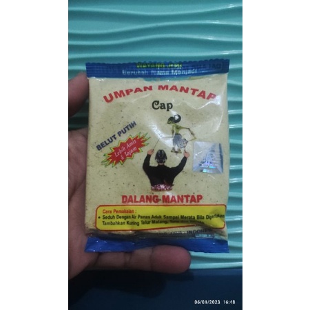 Dalang mantap Belut putih