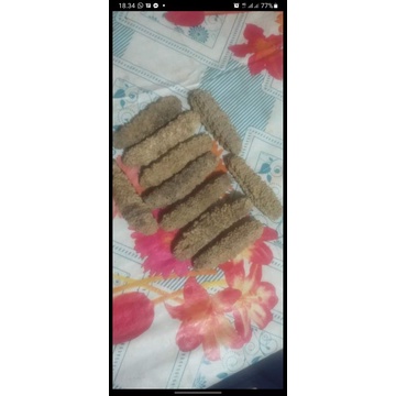 

Teripang