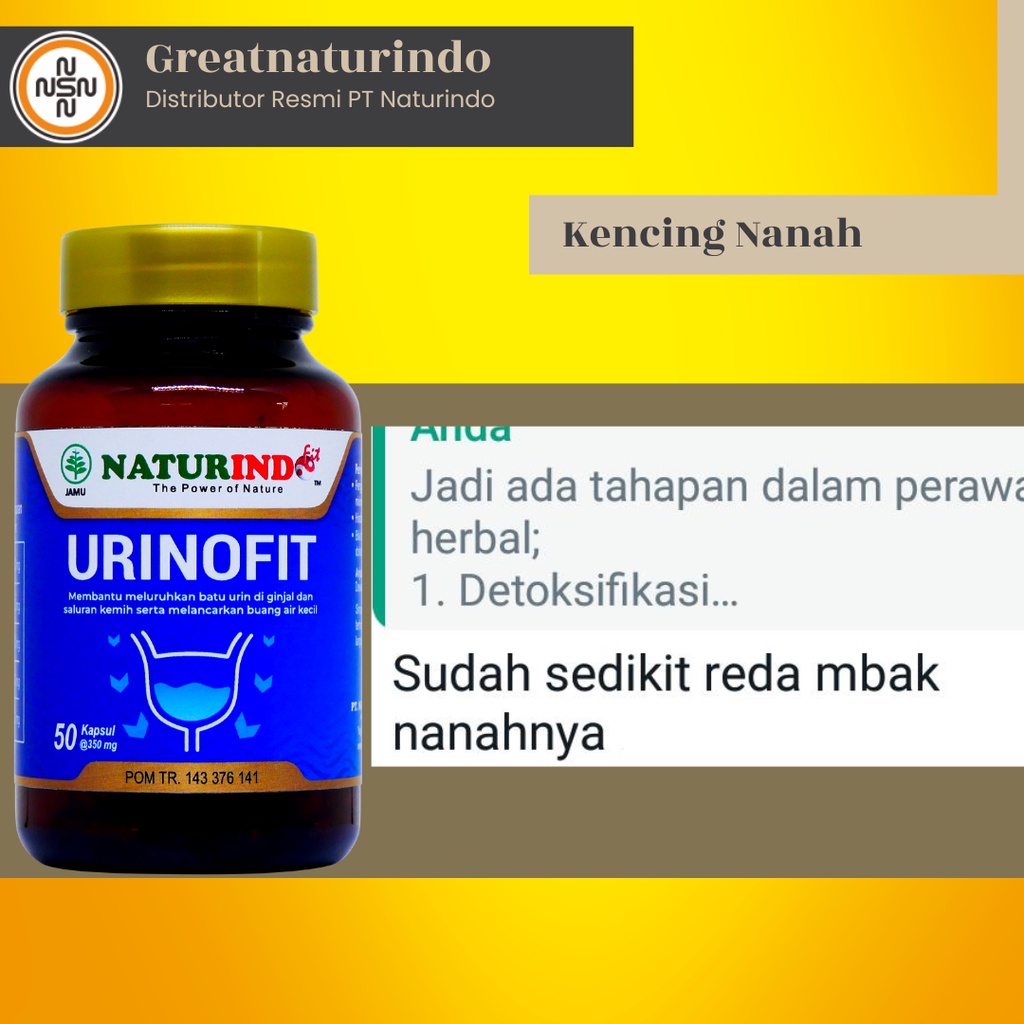 Obat sipilis kencing nanah pria gonore sifilis raja singa kelamin keluar nanah herbal wanita Urinofit Naturindo