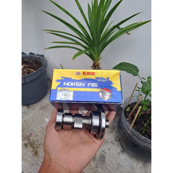 NOKEN AS TIGER EDO E2