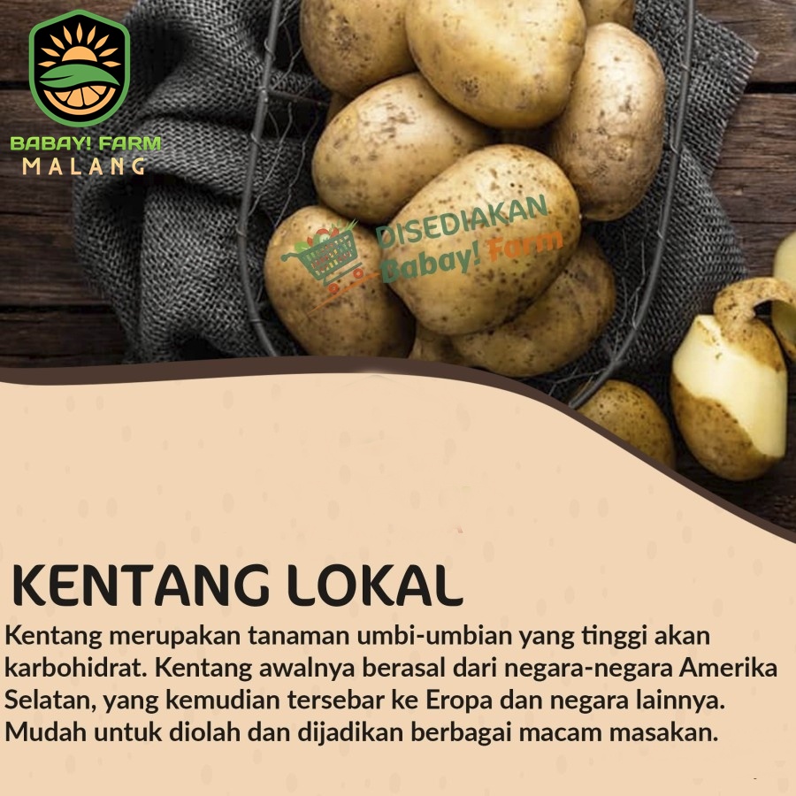 

Kentang Lokal Segar 500 gr / 1 kg