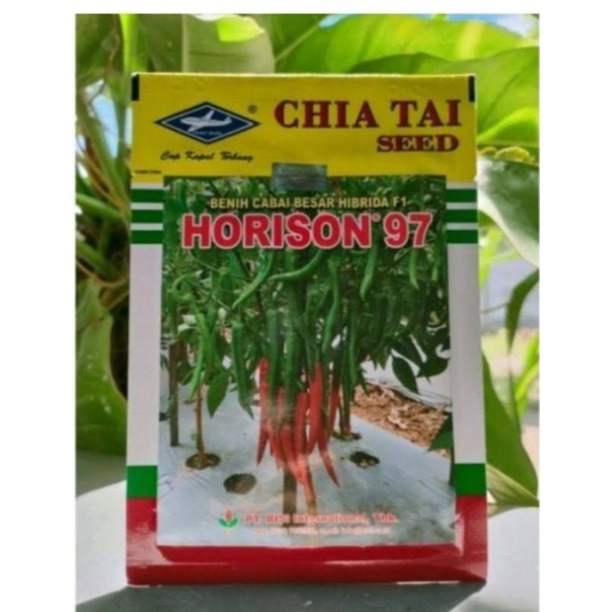 benih cabay berkualitas HORISON 97 benih berkualitas isi 10 gram
