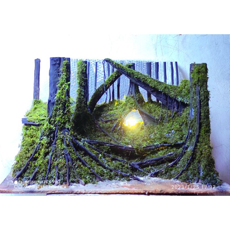 hardscape aquascape buat tank 60.40.40.cm