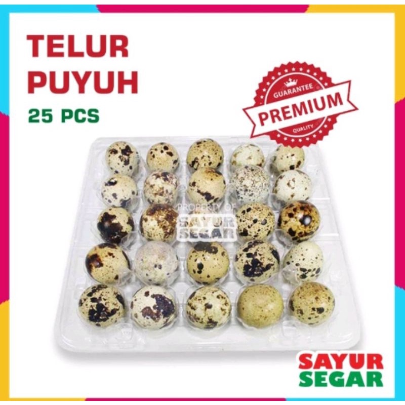 TELUR PUYUH  1KG mentah &amp; butiran isi 20 BUTIR