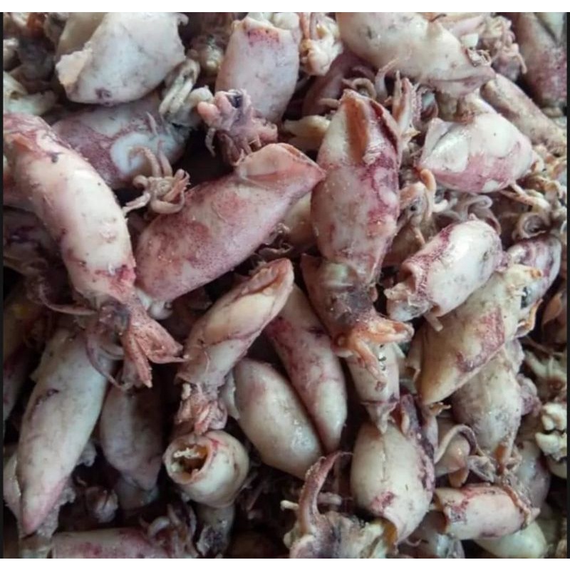 

CUMI ASIN REBUS KUALITAS SUPER 500g