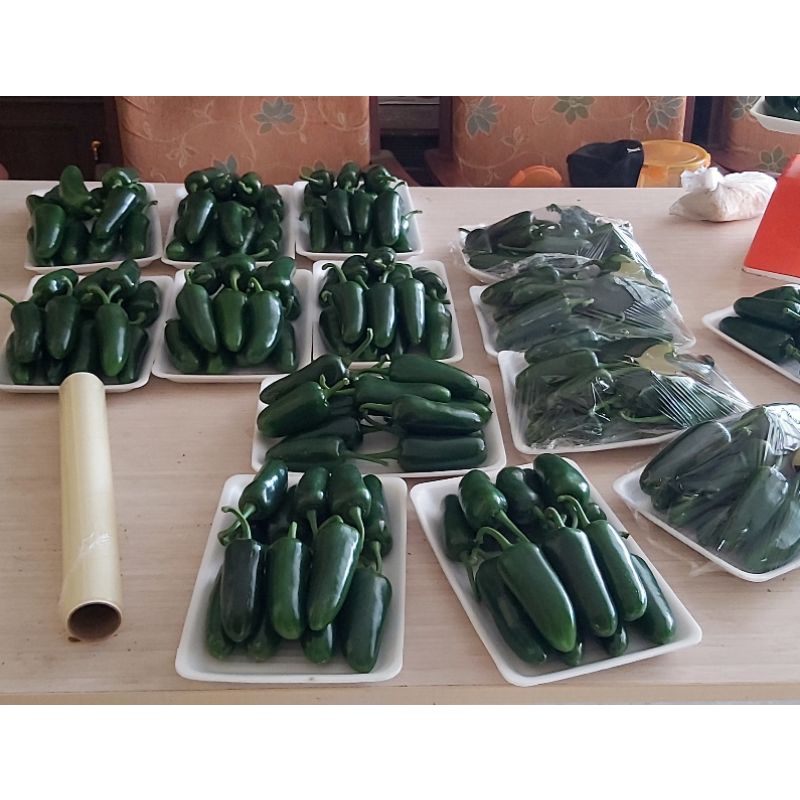 

cabe jalapeno / cabai jalapeno fresh 1kg