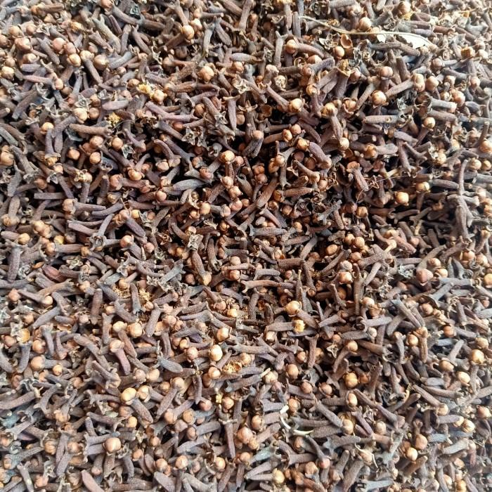 

Cengkeh Premium 100Gram Clove Whole Bunga Cengkih Kering Dan Fresh Best Seller