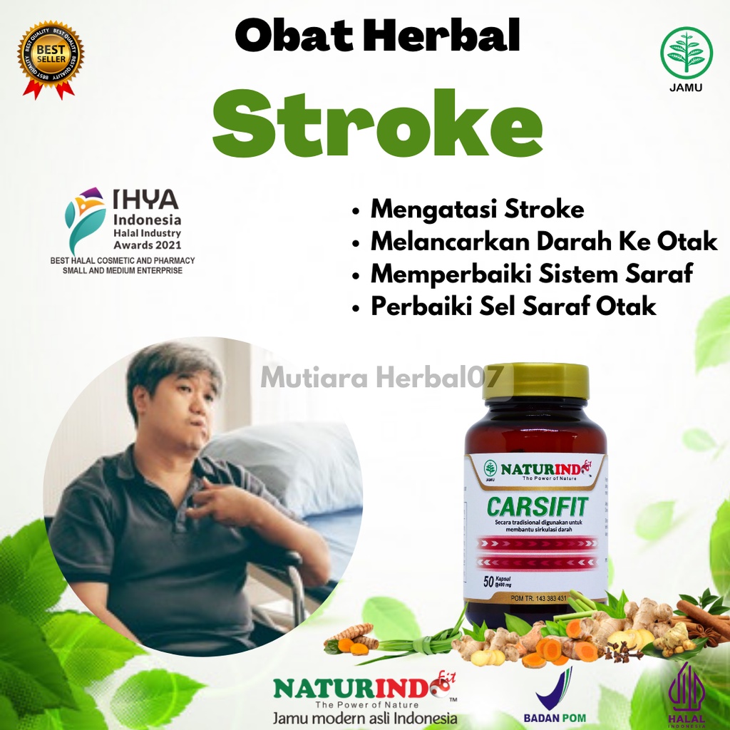 

Obat Stroke Strook Strok Mati Rasa Pasca Stroke Herbal Aman Ampuh Alami
