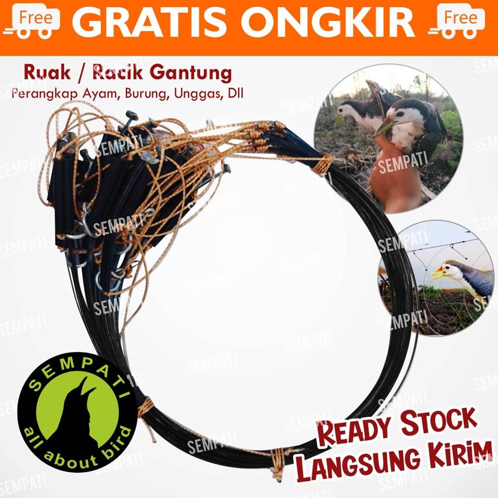 WIDWF3771 RACIK GANTUNG JERAT RUAK RUAK JERAT BURUNG JERAT AYAM RACIK RUAK JEBAKAN JONTROT KOREO SAW
