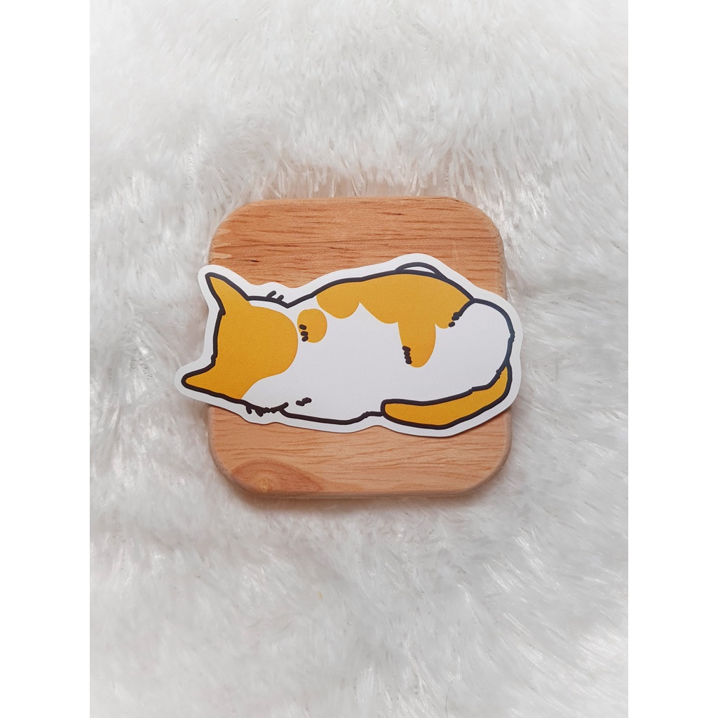 

Stiker WKK - Kucing Oren Miring Stiker Kucing Lucu