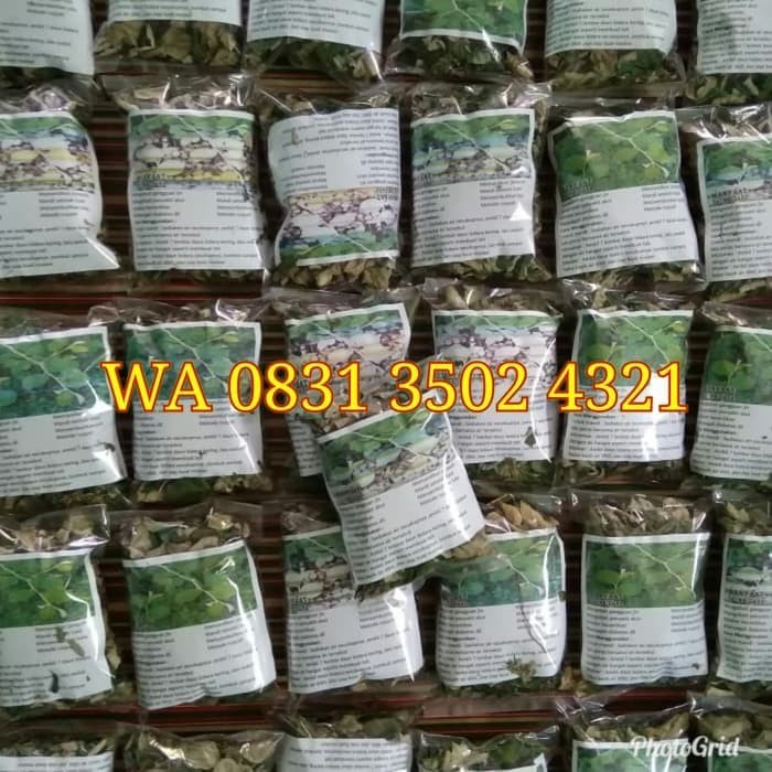 

Terlaris ✨ -Teh Daun Bidara Arab Herbal Ruqyah- 2.1.23
