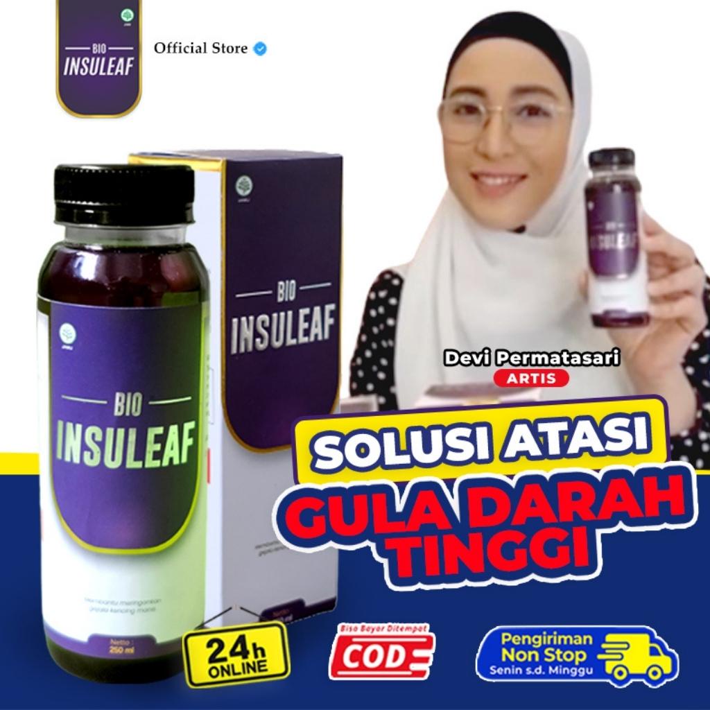 

BIO INSULEAF 100% Herbal - Solusi Atasi Gula Darah Tinggi