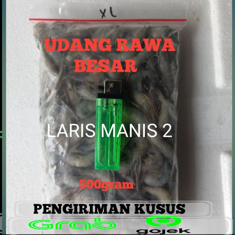 udang rawa tawar besar 500gra
